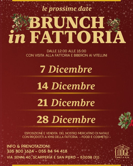 CALENDARIO BRUNCH DICEMBRE