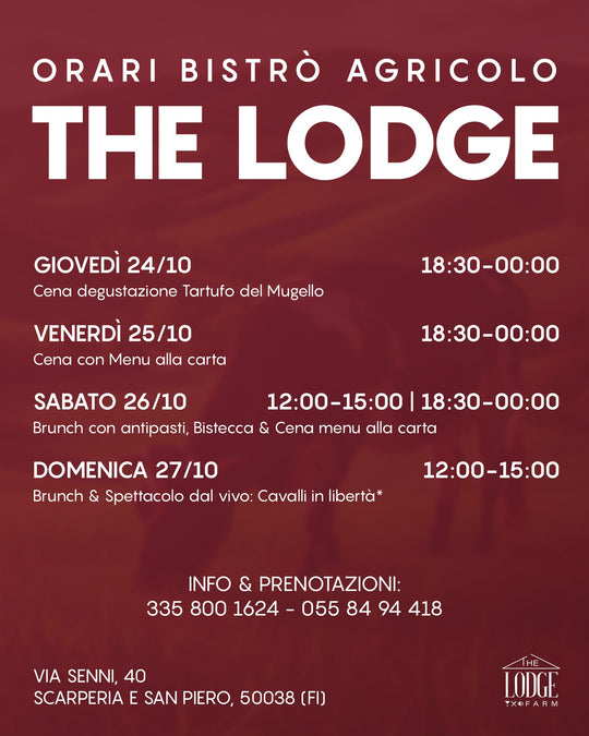 QUESTA SETTIMANA AL THE LODGE