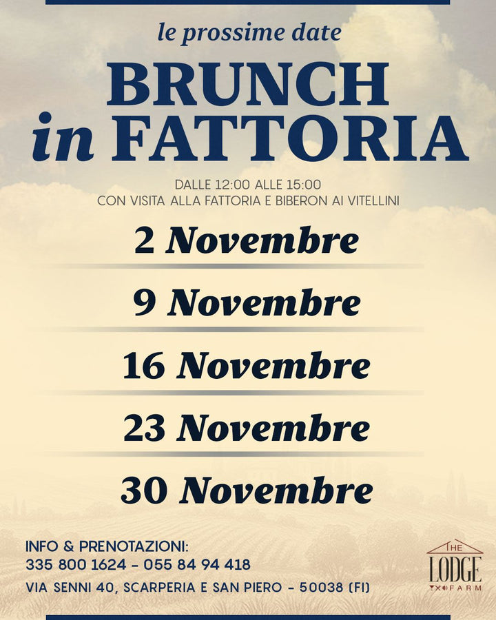 CALENDARIO BRUNCH NOVEMBRE